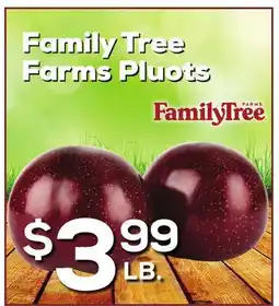 DeCicco & Sons Family Tree Farms Pluots offer