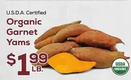 DeCicco & Sons Organic Garnet Yams offer