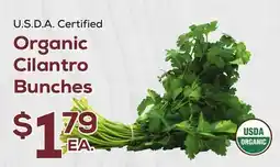 DeCicco & Sons Organic Cilantro Bunches offer