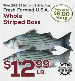 DeCicco & Sons Whole Striped Bass offer