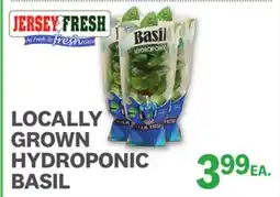 Kings Food Markets LOCALLY GROWN HYDROPONIC BASIL offer