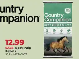 Runnings Country Companion Beet Pulp Pellets offer
