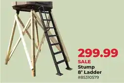 Runnings Stump 8' Ladder offer