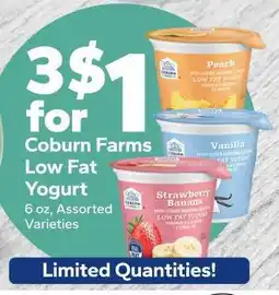 Save a Lot Coburn Farms Low Fat Yogurt offer