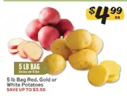Winn Dixie 5 lb Bag Red, Gold or White Potatoes offer