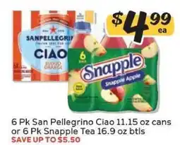 Winn Dixie 6 Pk San Pellegrino Ciao or 6 Pk Snapple Tea offer