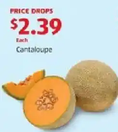 Aldi Cantaloupe offer
