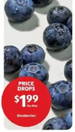 Aldi Blueberries offer