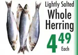 Garden Fresh Market Lightly Salted Whole Herring offer