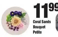 Sentry Coral Sands Bouquet Petite offer