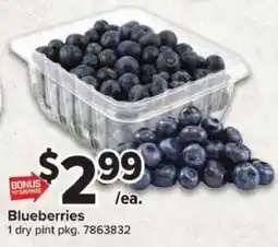 Giant Food Blueberries offer