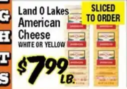 Western Beef Land O Lakes American Cheese offer