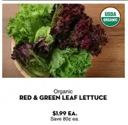 Bristol Farms Organic RED & GREEN LEAF LETTUCE offer