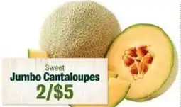 Robert Fresh Market Sweet Jumbo Cantaloupes offer