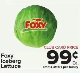 Foxy Iceberg Lettuce