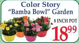 DeMoulas Market Basket Color Story "Bamba Bowl" Garden offer