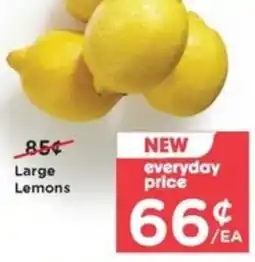 Pay Less Large Lemons offer