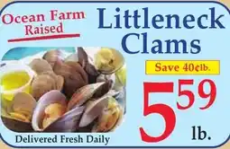 DeMoulas Market Basket Ocean Farm Raised Littleneck Clams offer