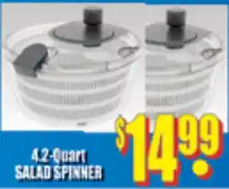 Reams Salad Spinner offer