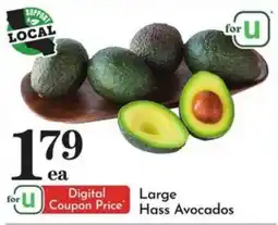 Food Pavilion for u large hass avocados offer