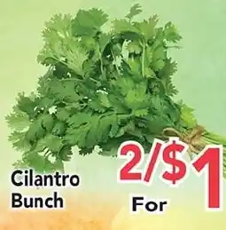 Eurofresh Market Cilantro Bunch offer