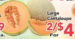 Eurofresh Market Large Cantaloupe offer