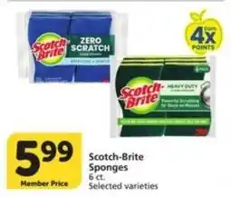 Food Pavilion Scotch-Brite Sponges offer