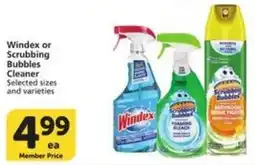Food Pavilion Windex or Scrubbing Bubbles Cleaner offer
