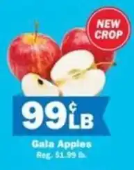 Schnucks Gala Apples offer