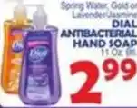 Bravo Supermarkets Dial antibacterial hand soap offer