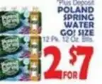 Bravo Supermarkets Poland spring water go! size offer