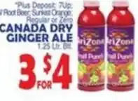 Bravo Supermarkets Canada Dry Ginger Ale offer