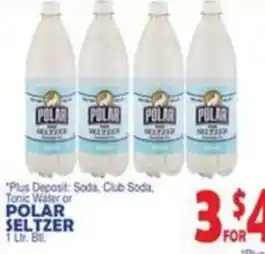 Bravo Supermarkets Polar Seltzer offer