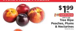 ShopRite Tree Ripe Peaches, Plums & Nectarines offer