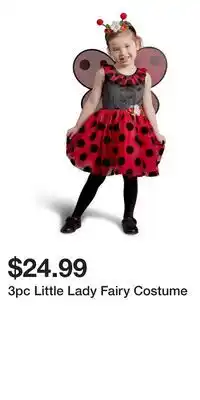 TJ Maxx 3pc Little Lady Fairy Costume offer