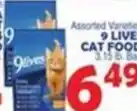 Bravo Supermarkets 9 live cat food offer