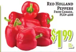 Trade Fair Supermarket Red Holland Peppers offer
