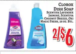 Trade Fair Supermarket CLOROX DISH SOAP offer