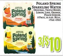 Trade Fair Supermarket POLAND SPRING SPARKLING WATER offer