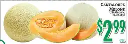 Trade Fair Supermarket CANTALOUE MELONS offer
