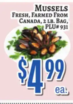 Trade Fair Supermarket MUSSELS offer