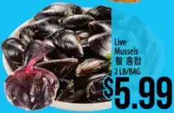 Hmart Live Mussels offer