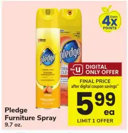 ACME Pledge Furniture Spray offer