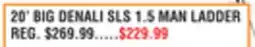 Dunham's Sports 20' BIG DENALI SLS 1.5 MAN LADDER offer