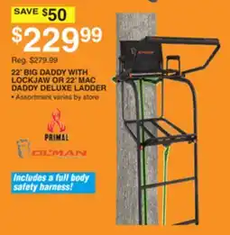 Dunham's Sports 22' BIG DADDY WITH LOCKJAW OR 22' MAC DADDY DELUXE LADDER offer