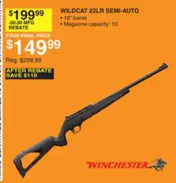 Dunham's Sports WINCHESTER WILDCAT 22LR SEMI-AUTO offer