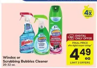 Windex or Scrubbing Bubbles Cleaner