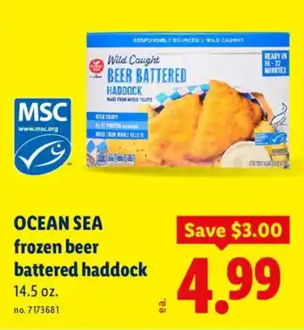 Ocean sea frozen beer battered haddock