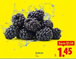Lidl blackberries offer