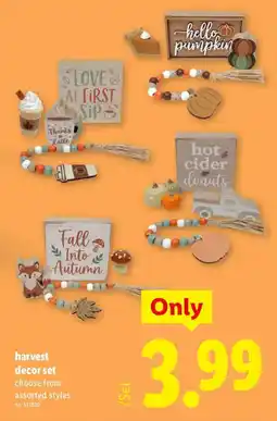 Lidl harvest decor set offer